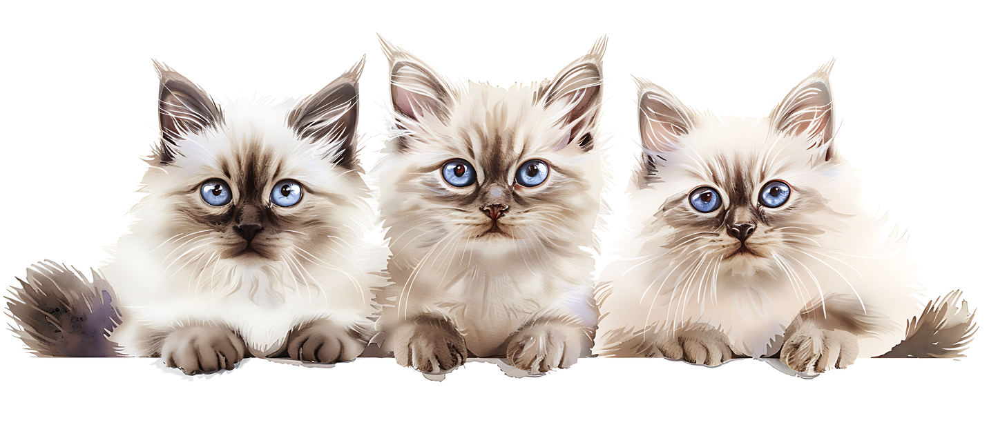 Mug - Cats