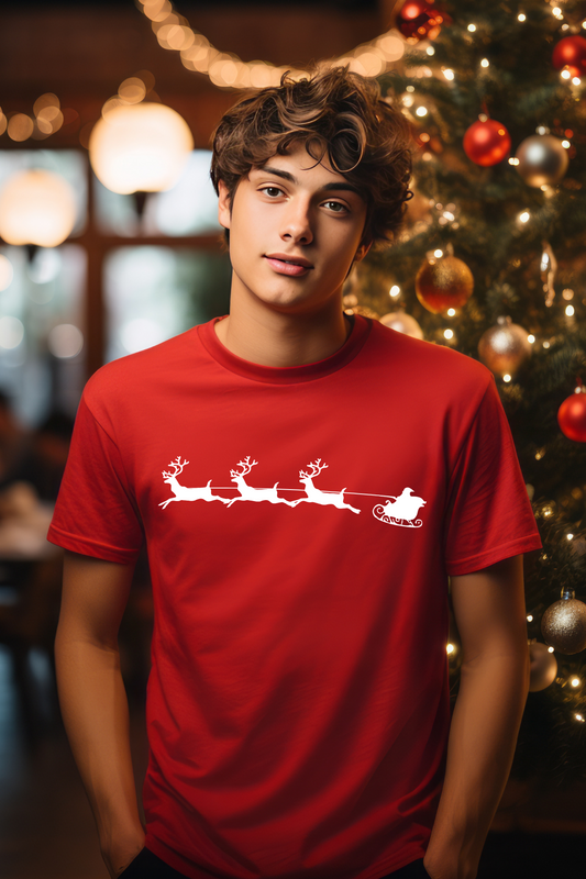 T-shirt - Jultomtens släde med renar