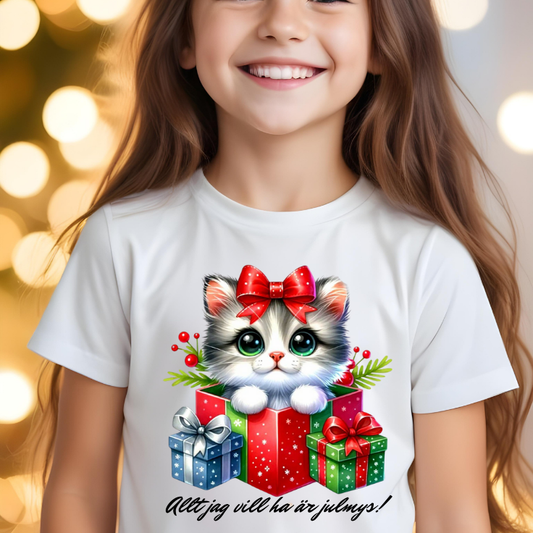 T-shirt - Allt jag vill ha är julmys!